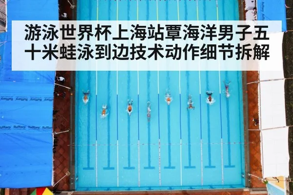 游泳世界杯上海站覃海洋男子五十米蛙泳到边技术动作细节拆解