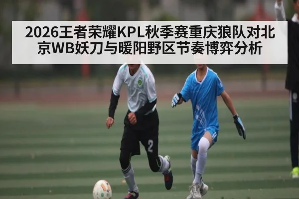 2026王者荣耀KPL秋季赛重庆狼队对北京WB妖刀与暖阳野区节奏博弈分析